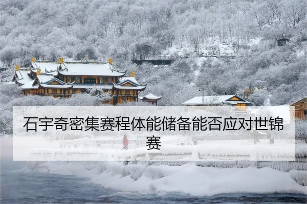 shi-yu-qi-mi-ji-sai-cheng-ti-neng-chu-bei-neng-fou-ying-dui-shi-jin-sai-3-592.jpg
