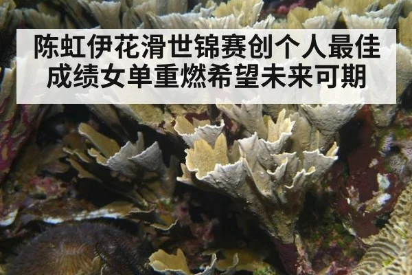 陈虹伊花滑世锦赛创个人最佳成绩女单重燃希望未来可期